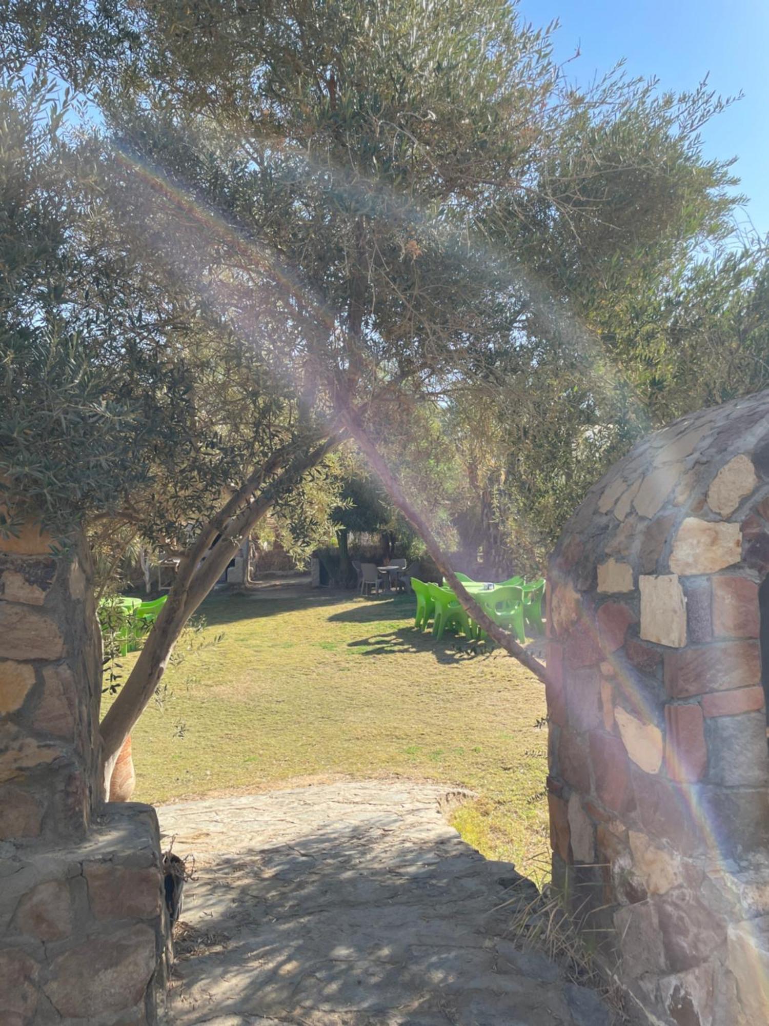Safari Camp Bahariya Oasis 호텔 Bawati 외부 사진