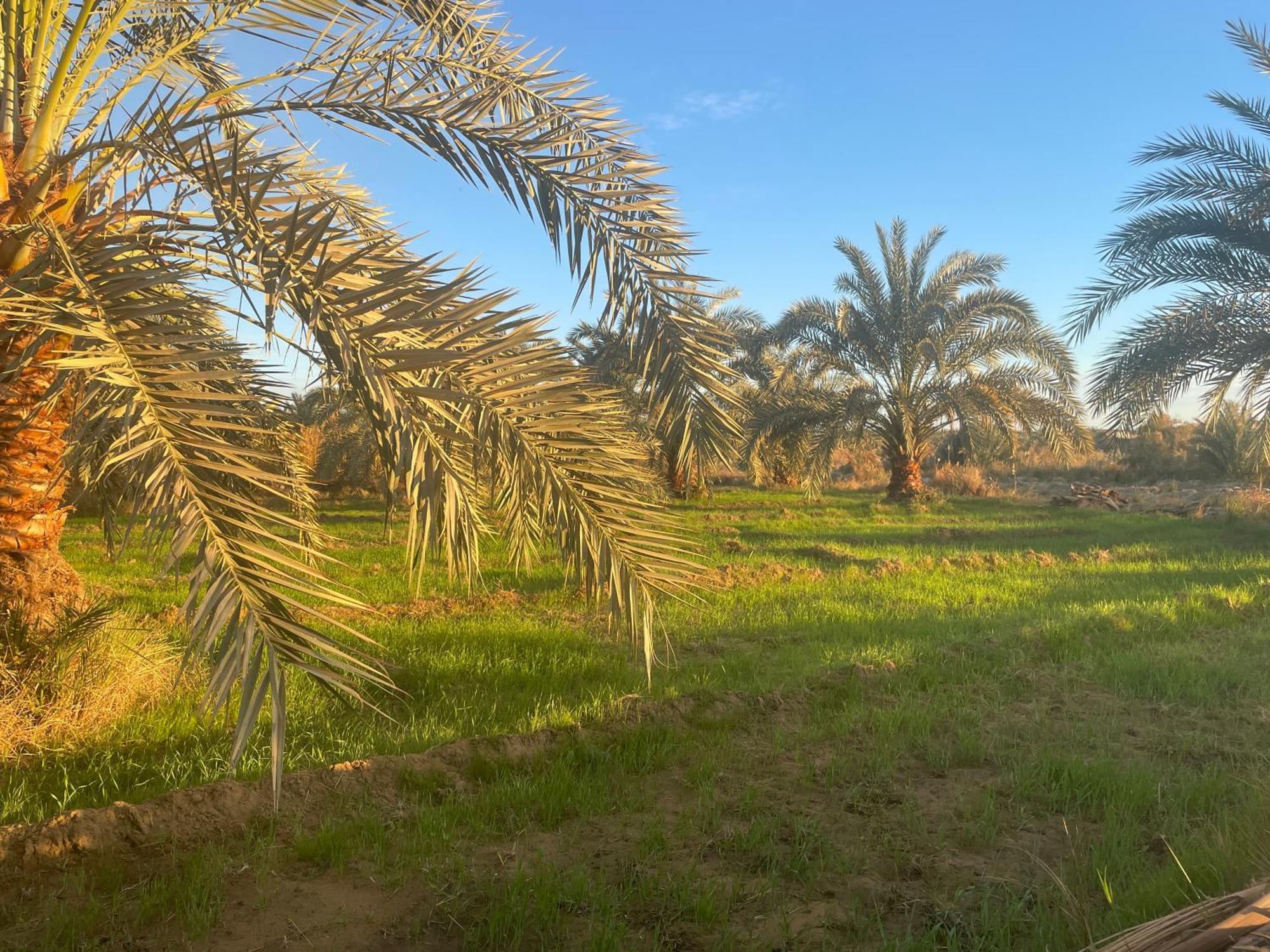 Safari Camp Bahariya Oasis 호텔 Bawati 외부 사진