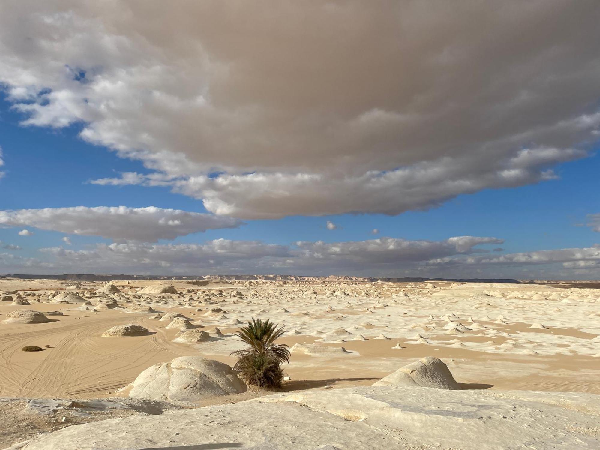 Safari Camp Bahariya Oasis 호텔 Bawati 외부 사진