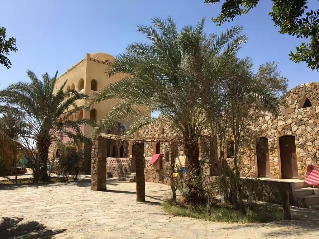 Safari Camp Bahariya Oasis 호텔 Bawati 외부 사진