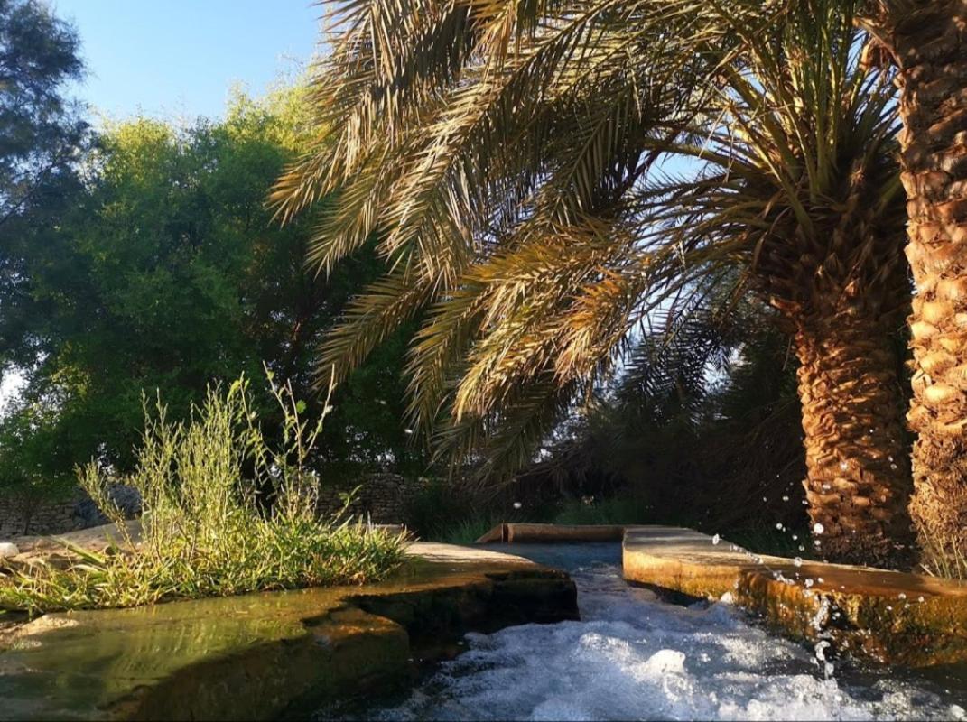 Safari Camp Bahariya Oasis 호텔 Bawati 외부 사진
